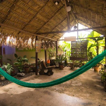 Hostel Coracao Verde ألتر دو تشاو المظهر الخارجي الصورة
